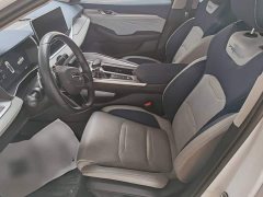 Geely Xingrui 2.0T Diesel Premium - ფოტო 12