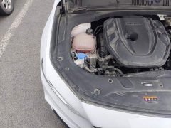 Geely Xingrui 2.0T Diesel Premium - ფოტო 19