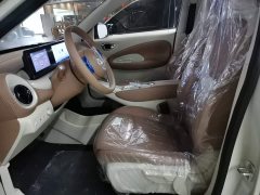 Wuling Binguo 2025 333km Joy Edition - ფოტო 15