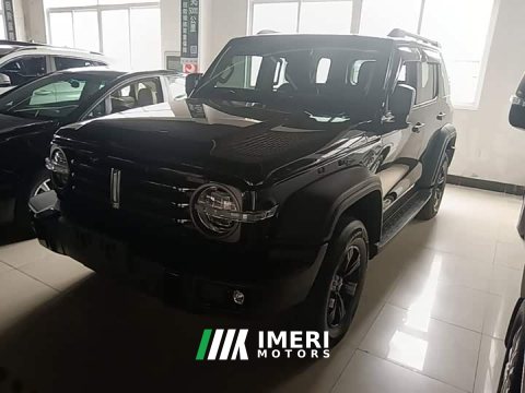 2021 Tank 300 Off-Road Edition 2.0T Conqueror - ავტომობილი ჩინეთიდან