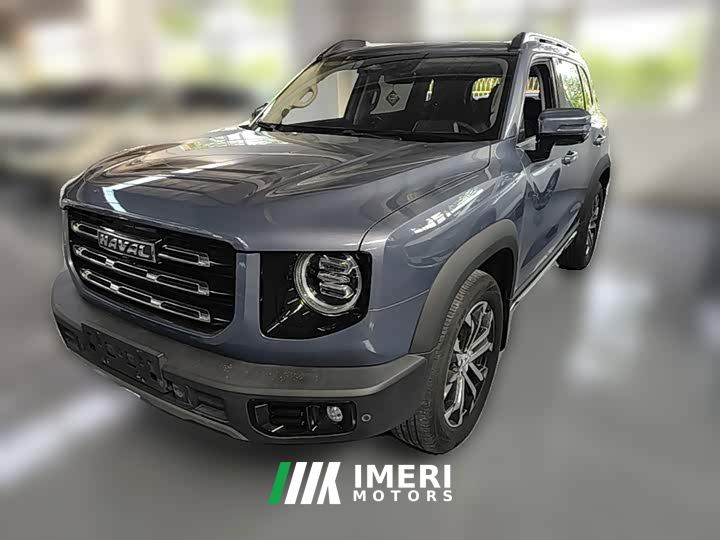 Great Wall Dachshund 2.0T DCT Two-Wheel Drive Chinese Hunting Dog Edition