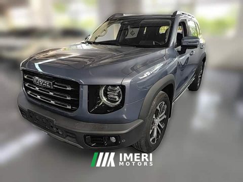 2021 Great Wall Dachshund 2.0T DCT Two-Wheel Drive Chinese Hunting Dog Edition - ავტომობილი ჩინეთიდან
