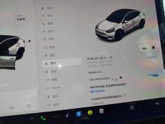Tesla Model Y Long Range All-Wheel Drive - ფოტო 12