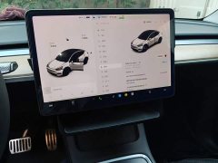 Tesla Model Y Long Range All-Wheel Drive - ფოტო 13