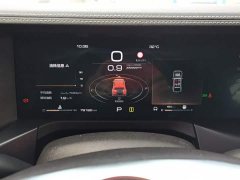 Tank 300 Off-Road Edition 2.0T Conqueror - ფოტო 12