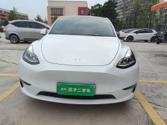 Tesla Model Y Facelift Long Range All-Wheel Drive - ფოტო 3