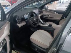 BYD Song Pro New Energy DM-i 110KM Glory Edition Exceed - ფოტო 14