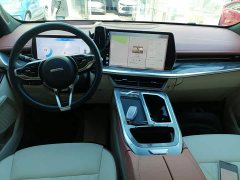 Haval Divine Beast 1.5T Smart Enjoy Edition - ფოტო 10