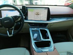 Haval Divine Beast 1.5T Smart Enjoy Edition - ფოტო 13