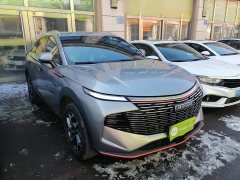 Haval Divine Beast 1.5T Smart Enjoy Edition - ფოტო 4