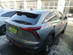 Haval Divine Beast 1.5T Smart Enjoy Edition - ფოტო 7