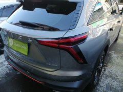 Haval Divine Beast 1.5T Smart Enjoy Edition - ფოტო 8