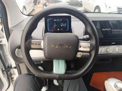 Changan Lumin 205km Xiangqin Edition - ფოტო 11