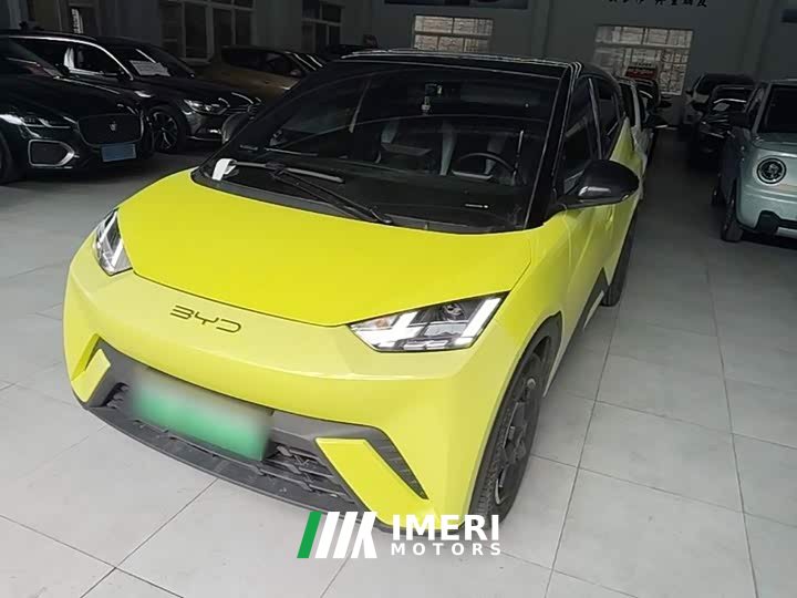 BYD Seagull 2023 Flying Edition - ავტომობილი ჩინეთიდან