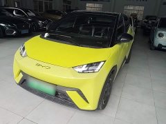 BYD Seagull 2023 Flying Edition - ფოტო 1