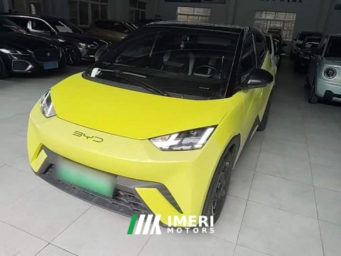 2024 BYD Seagull 2023 Flying Edition - ავტომობილი ჩინეთიდან