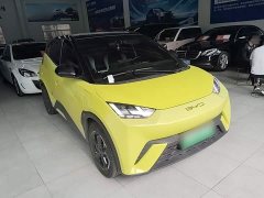 BYD Seagull 2023 Flying Edition - ფოტო 4