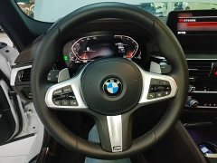 BMW 5 Series Facelift 530Li Premier M Sport Package - ფოტო 11