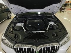 BMW 5 Series Facelift 530Li Premier M Sport Package - ფოტო 20