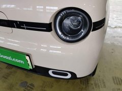 Geely Panda 2025 Panda Mini 210km Vitality Edition - ფოტო 18