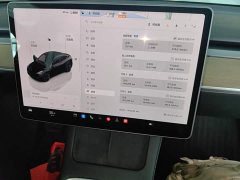 Tesla Model Y Rear-Wheel Drive - ფოტო 13