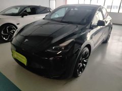 Tesla Model Y Rear-Wheel Drive - ფოტო 2