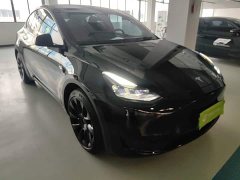 Tesla Model Y Rear-Wheel Drive - ფოტო 4