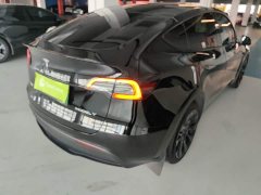 Tesla Model Y Rear-Wheel Drive - ფოტო 7
