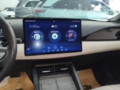 BYD Seal 06 DM-i 120KM Flagship - ფოტო 13
