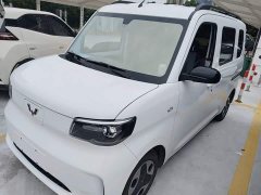 Wuling Zhiguang New Energy 305km Aspiring Edition - ფოტო 1