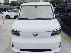 Wuling Zhiguang New Energy 305km Aspiring Edition - ფოტო 3
