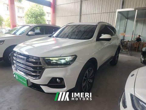 2023 Haval H6 National Trend Edition 1.5T Automatic Champion Version - ავტომობილი ჩინეთიდან