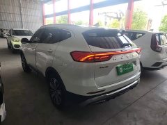 Haval H6 National Trend Edition 1.5T Automatic Champion Version - ფოტო 5