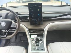 BYD Song Pro New Energy 2022 DM-i 51km Premium - ფოტო 13