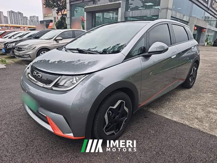 BYD Dolphin 405km Freedom Edition - ავტომობილი ჩინეთიდან