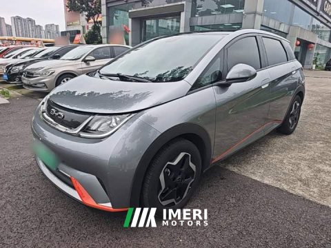 2022 BYD Dolphin 405km Freedom Edition - ავტომობილი ჩინეთიდან