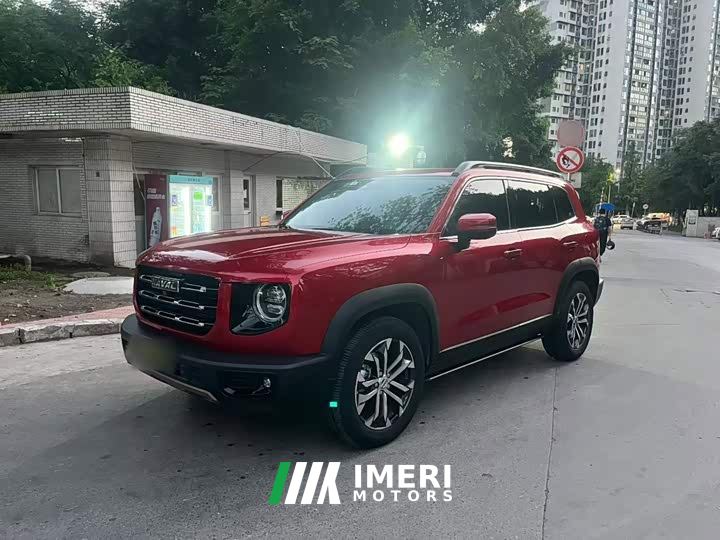 Great Wall Dachshund 1.5T DCT Two-Wheel Drive Border Collie-Wangcai Edition