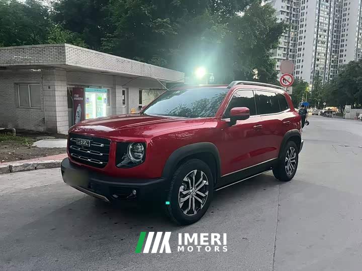 Great Wall Dachshund 1.5T DCT Two-Wheel Drive Border Collie-Wangcai Edition