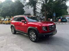 Great Wall Dachshund 1.5T DCT Two-Wheel Drive Border Collie-Wangcai Edition - ფოტო 4