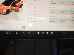 Tesla Model 3 2022 Rear-Wheel Drive - ფოტო 12