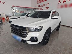 Haval H6 2021 National Trend Edition 1.5T Automatic Urban Version - ფოტო 1