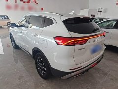 Haval H6 2021 National Trend Edition 1.5T Automatic Urban Version - ფოტო 5