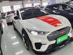 Ford Mustang Mach-E 2021 Boundless RWD Long Range - ფოტო 4