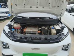 Geely Geometry E Firefly 301km Aurora - ფოტო 20