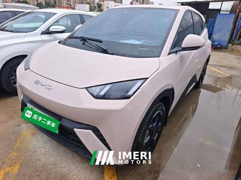 2023 BYD Seagull Freedom Edition - ავტომობილი ჩინეთიდან
