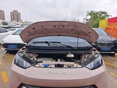 BYD Seagull Freedom Edition - ფოტო 20