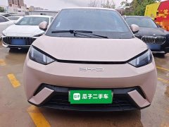 BYD Seagull Freedom Edition - ფოტო 3
