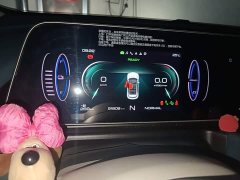 ORA Good Cat 2022 Morandis 400km Standard Range Luxury Ternary Lithium - ფოტო 12