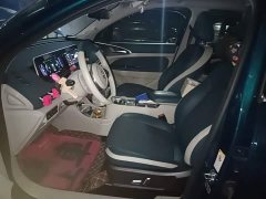 ORA Good Cat 2022 Morandis 400km Standard Range Luxury Ternary Lithium - ფოტო 15
