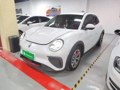 ORA Good Cat GT 2022 Mulan Edition 480km Long Range - ფოტო 1